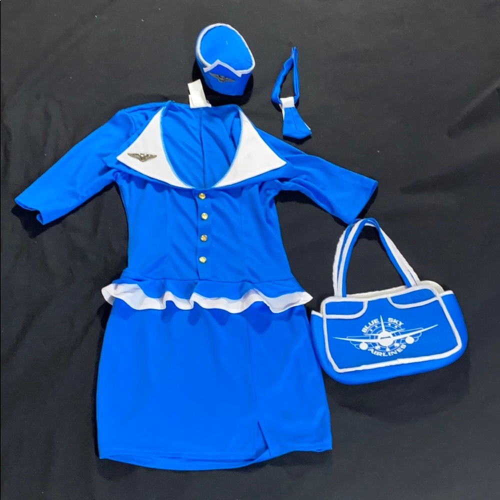 Sexy Retro Stewardess Halloween Costume
